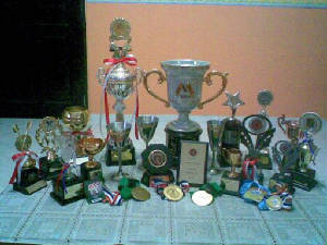 collection.jpg